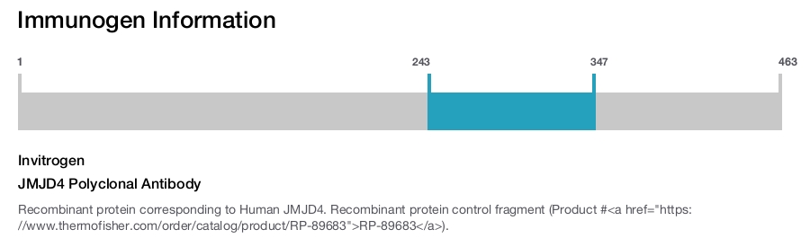 JMJD4 Polyclonal Antibody