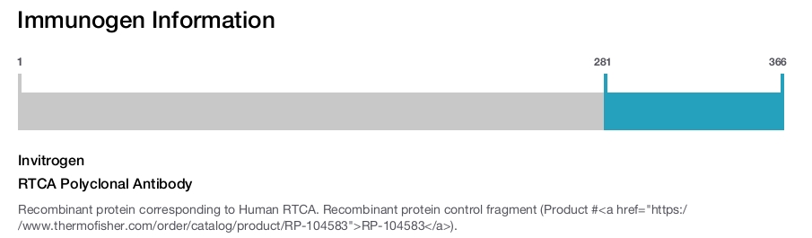 RTCA Polyclonal Antibody