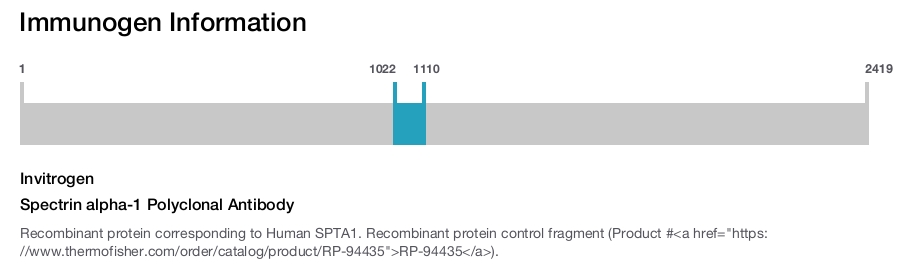 Spectrin alpha-1 Polyclonal Antibody