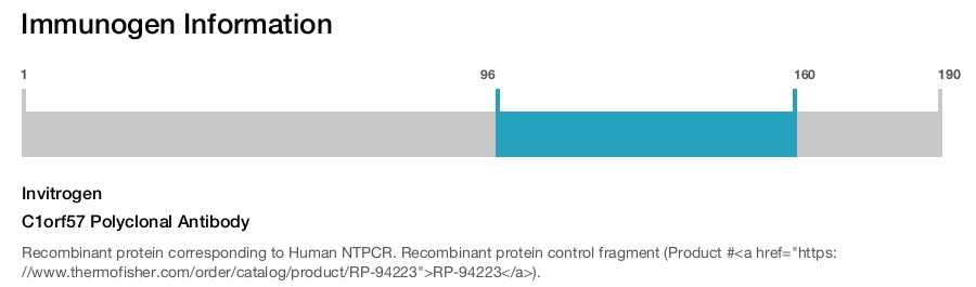 C1orf57 Polyclonal Antibody