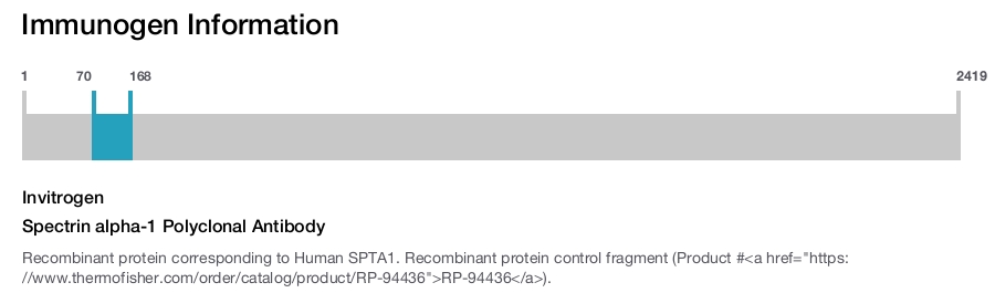 Spectrin alpha-1 Polyclonal Antibody