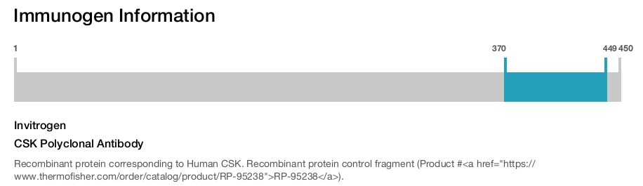 CSK Polyclonal Antibody