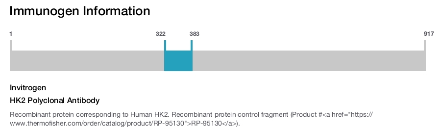 HK2 Polyclonal Antibody