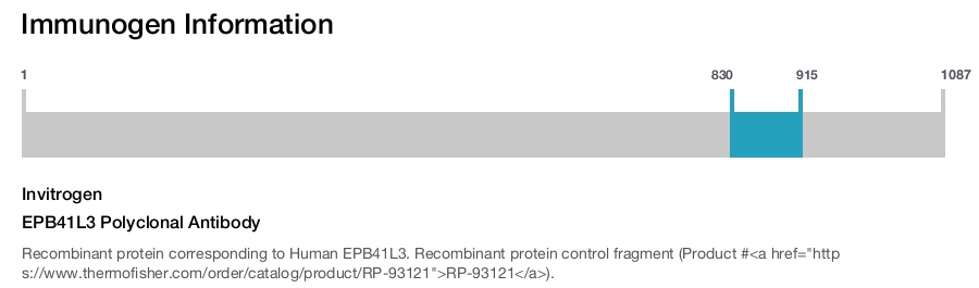 EPB41L3 Polyclonal Antibody