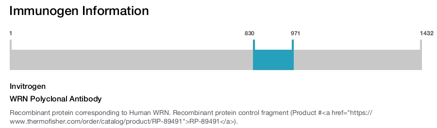 WRN Polyclonal Antibody
