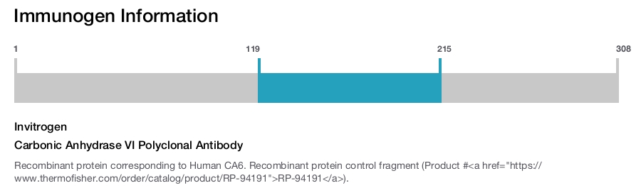 Carbonic Anhydrase VI Polyclonal Antibody