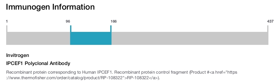 IPCEF1 Polyclonal Antibody
