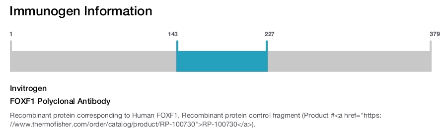 FOXF1 Polyclonal Antibody