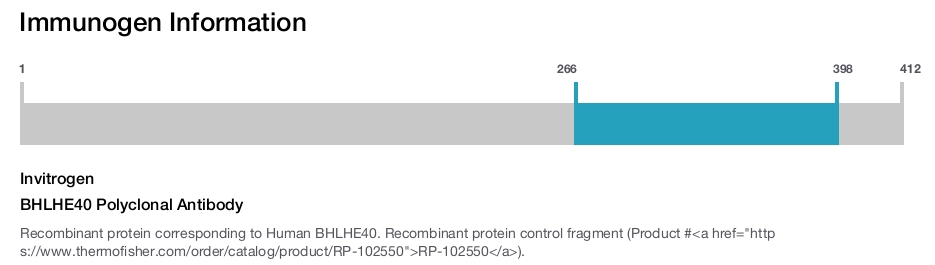 BHLHE40 Polyclonal Antibody