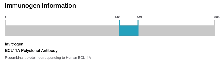 BCL11A Polyclonal Antibody
