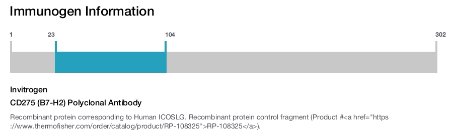 CD275 (B7-H2) Polyclonal Antibody