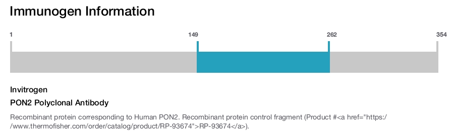 PON2 Polyclonal Antibody