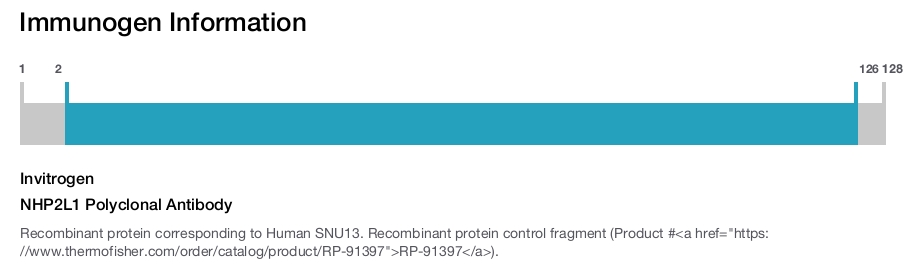 NHP2L1 Polyclonal Antibody