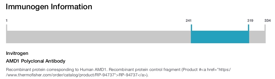 AMD1 Polyclonal Antibody