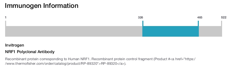 NRF1 Polyclonal Antibody