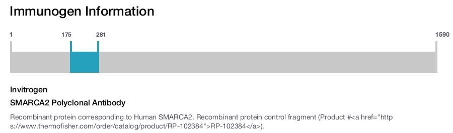 SMARCA2 Polyclonal Antibody