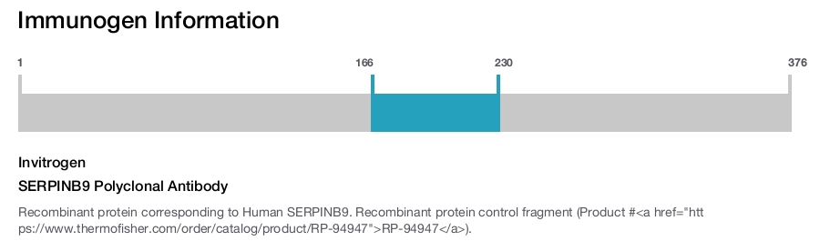 SERPINB9 Polyclonal Antibody