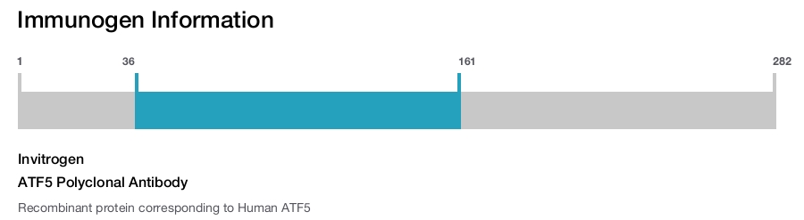 ATF5 Polyclonal Antibody