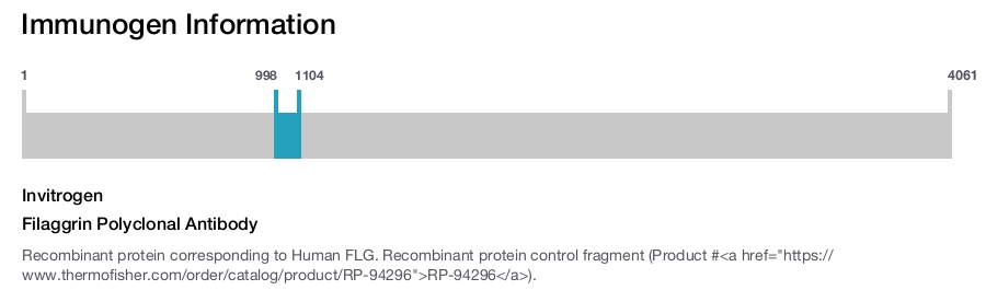 Filaggrin Polyclonal Antibody