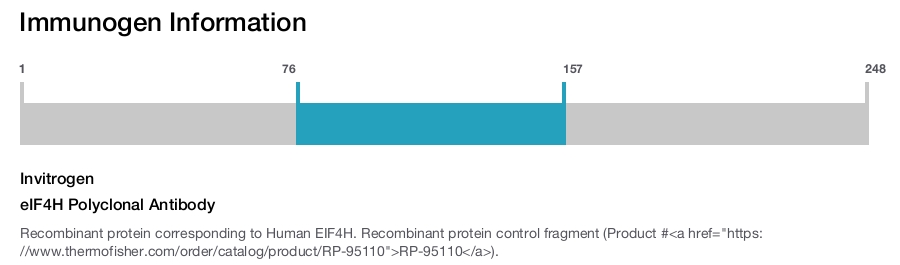 eIF4H Polyclonal Antibody