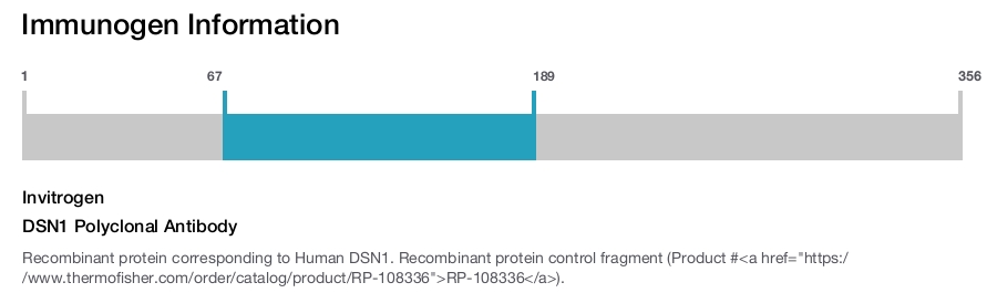 DSN1 Polyclonal Antibody