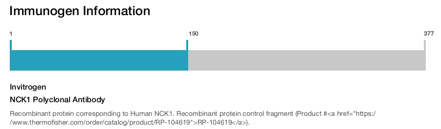 NCK1 Polyclonal Antibody