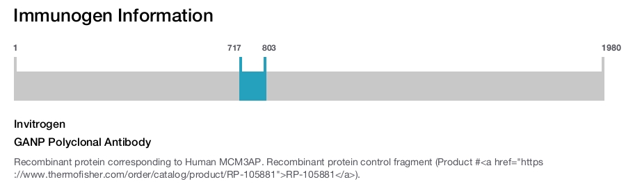 GANP Polyclonal Antibody