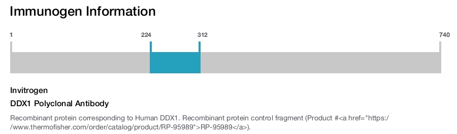 DDX1 Polyclonal Antibody