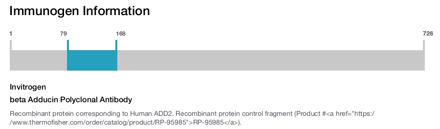 beta Adducin Polyclonal Antibody