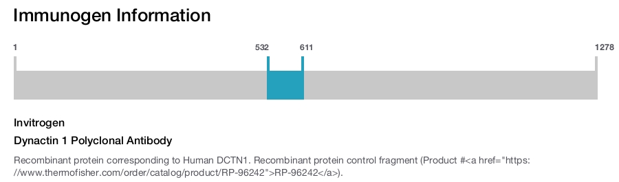 Dynactin 1 Polyclonal Antibody