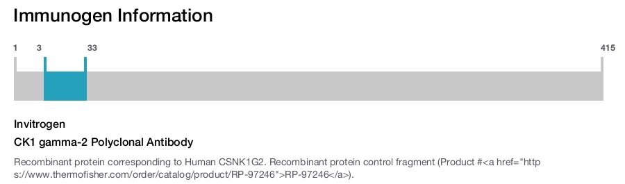 CK1 gamma-2 Polyclonal Antibody