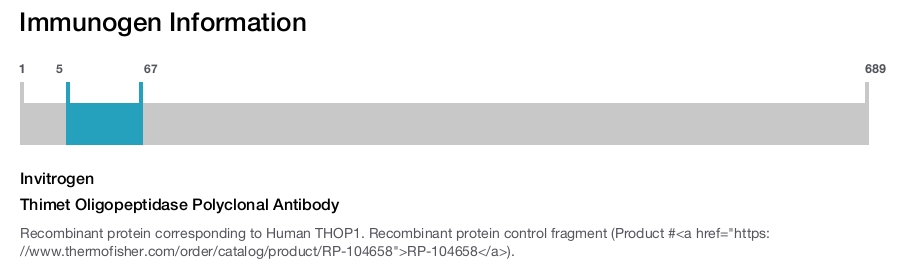 Thimet Oligopeptidase Polyclonal Antibody
