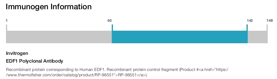 EDF1 Polyclonal Antibody