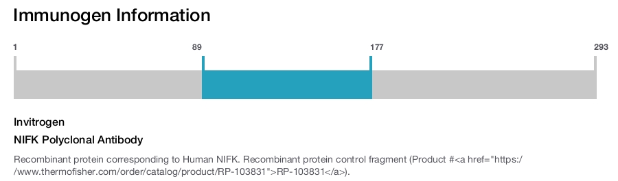 NIFK Polyclonal Antibody