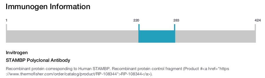 STAMBP Polyclonal Antibody