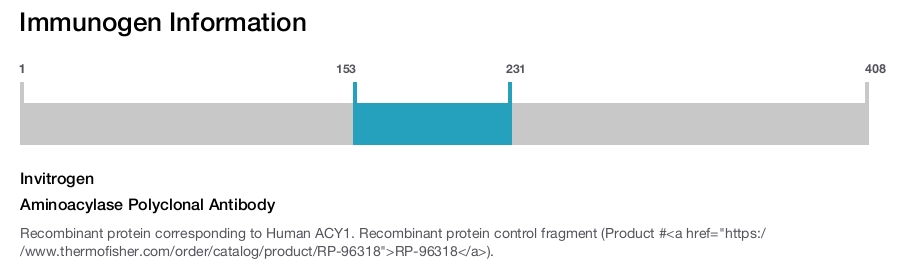 Aminoacylase Polyclonal Antibody