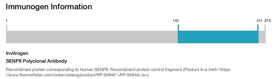 SENP8 Polyclonal Antibody