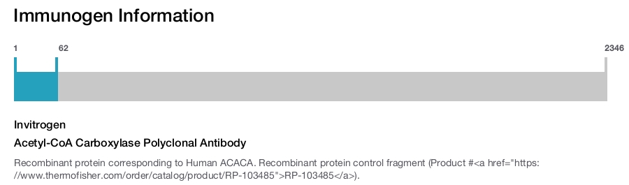 Acetyl-CoA Carboxylase Polyclonal Antibody