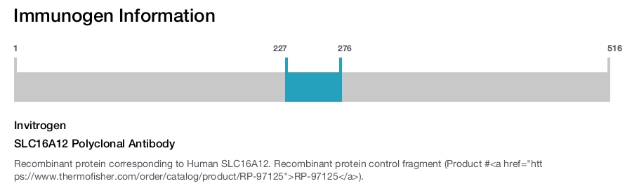 SLC16A12 Polyclonal Antibody