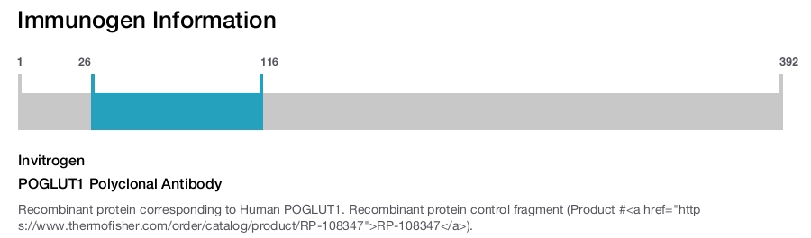 POGLUT1 Polyclonal Antibody