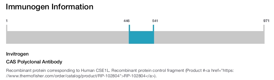 CAS Polyclonal Antibody
