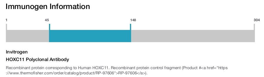 HOXC11 Polyclonal Antibody