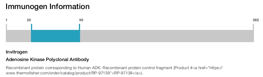 Adenosine Kinase Polyclonal Antibody