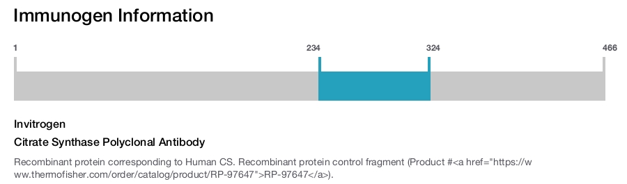 Citrate Synthase Polyclonal Antibody