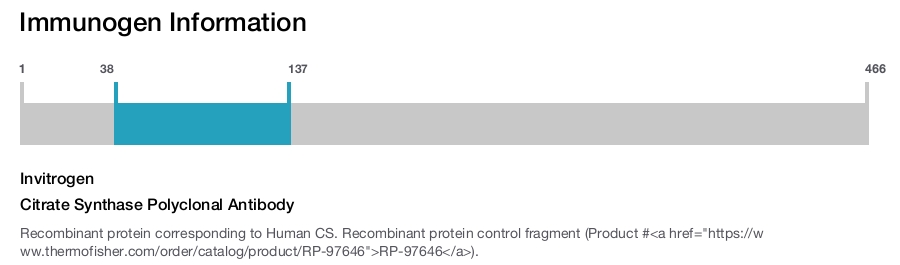 Citrate Synthase Polyclonal Antibody