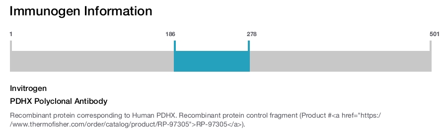 PDHX Polyclonal Antibody