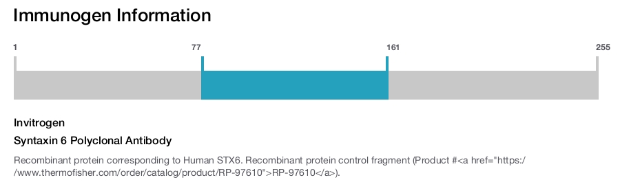 Syntaxin 6 Polyclonal Antibody