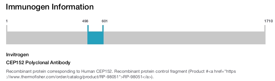 CEP152 Polyclonal Antibody
