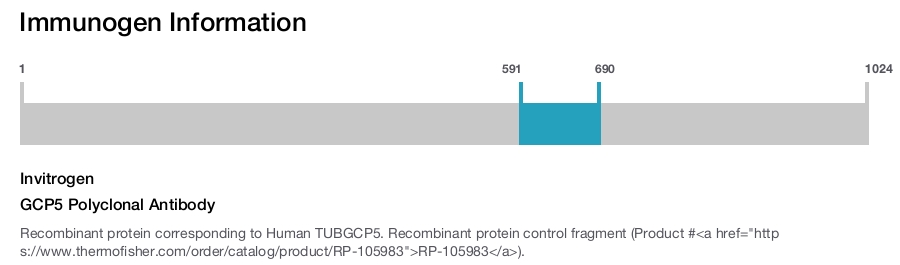 GCP5 Polyclonal Antibody