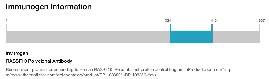 RASSF10 Polyclonal Antibody